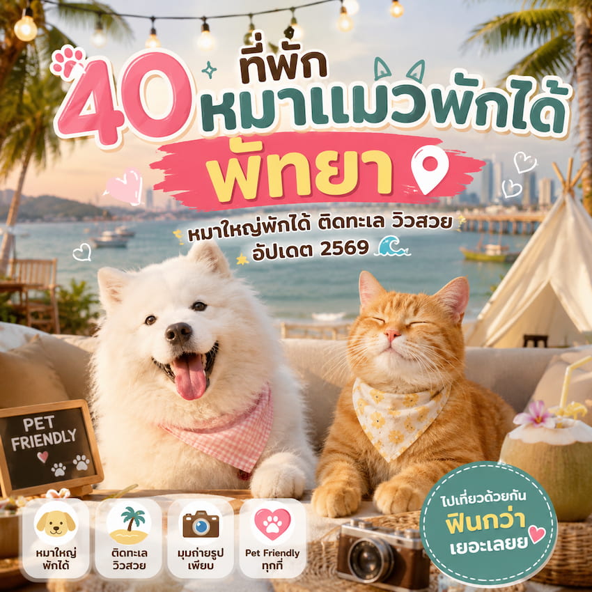 40 ที่พักหมาพักได้ พัทยา ติดทะเล หมาใหญ่พักได้ อัปเดต 2569 | ใกล้กรุงเทพ ครบทุกโซน