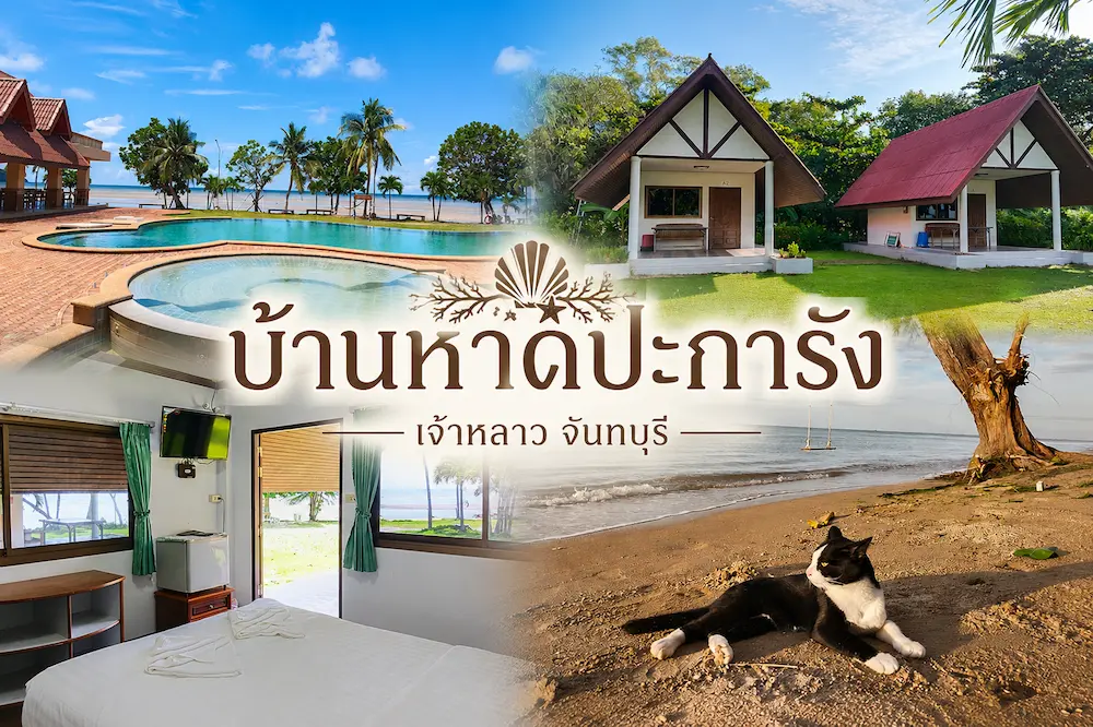 37 ที่พักจันทบุรี หมาพักได้ ติดทะเล หาดเจ้าหลาว คุ้งวิมาน ริมน้ำ ใกล้เมือง หมาใหญ่พักได้จริง