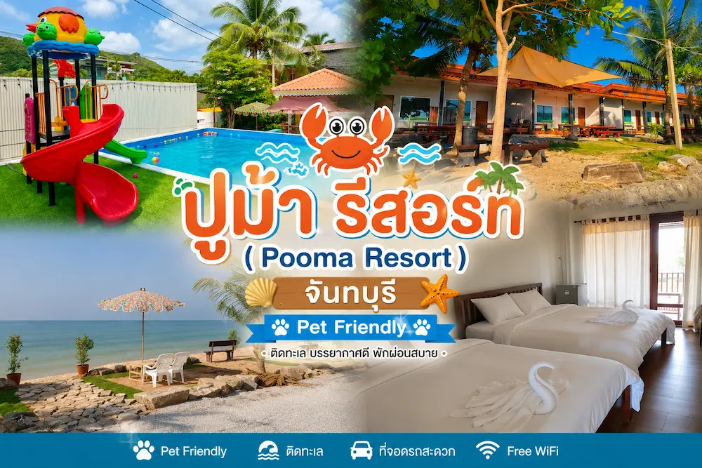 37 ที่พักจันทบุรี หมาพักได้ ติดทะเล หาดเจ้าหลาว คุ้งวิมาน ริมน้ำ ใกล้เมือง หมาใหญ่พักได้จริง