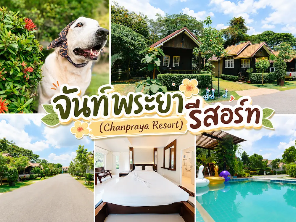 37 ที่พักจันทบุรี หมาพักได้ ติดทะเล หาดเจ้าหลาว คุ้งวิมาน ริมน้ำ ใกล้เมือง หมาใหญ่พักได้จริง