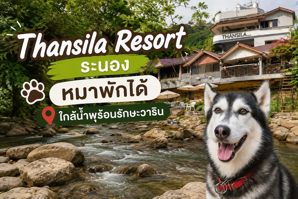 Thansila Resort ระนอง หมาพักได้ ใกล้น้ำพุร้อนรักษะวาริน หมาใหญ่พักได้ด้วย 2569