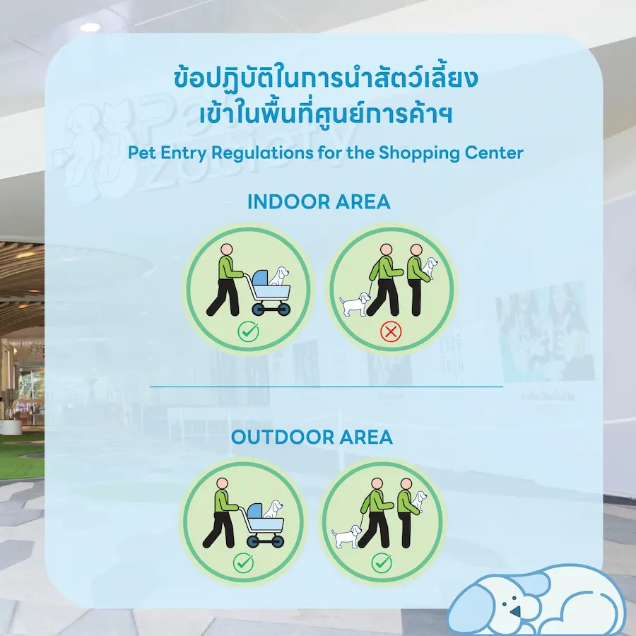 Future Park รังสิต หมาเข้าได้ไหม? เปิดโซน Pet Friendly และสนามวิ่งเล่นแล้ว