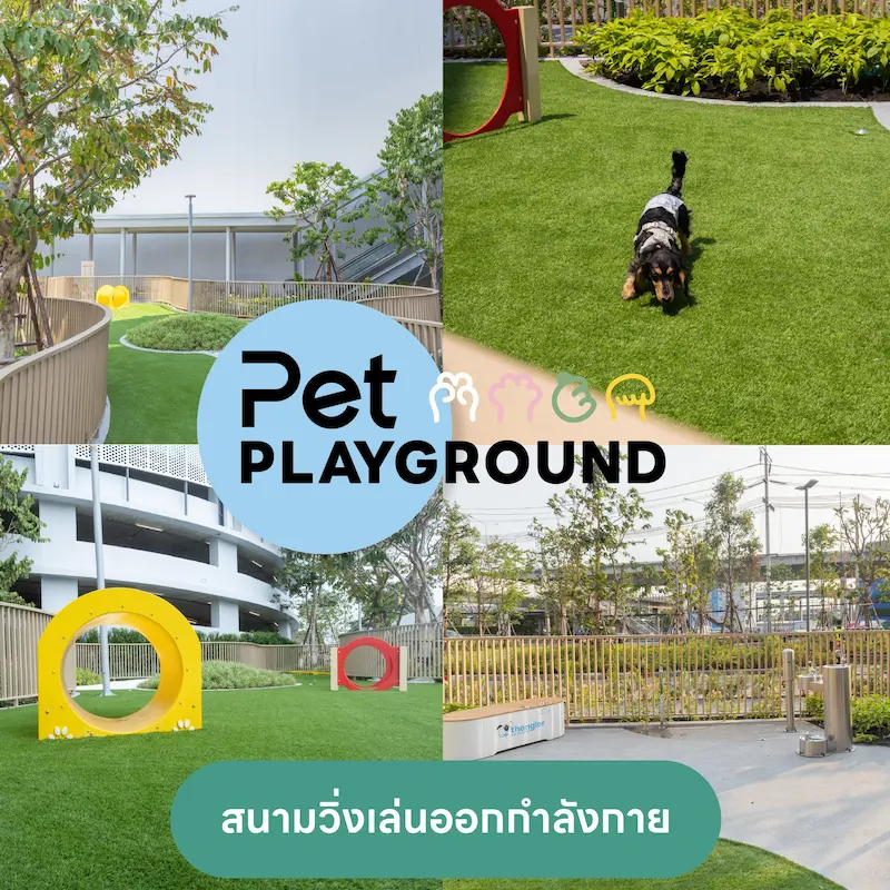 Future Park รังสิต หมาเข้าได้ไหม? เปิดโซน Pet Friendly และสนามวิ่งเล่นแล้ว