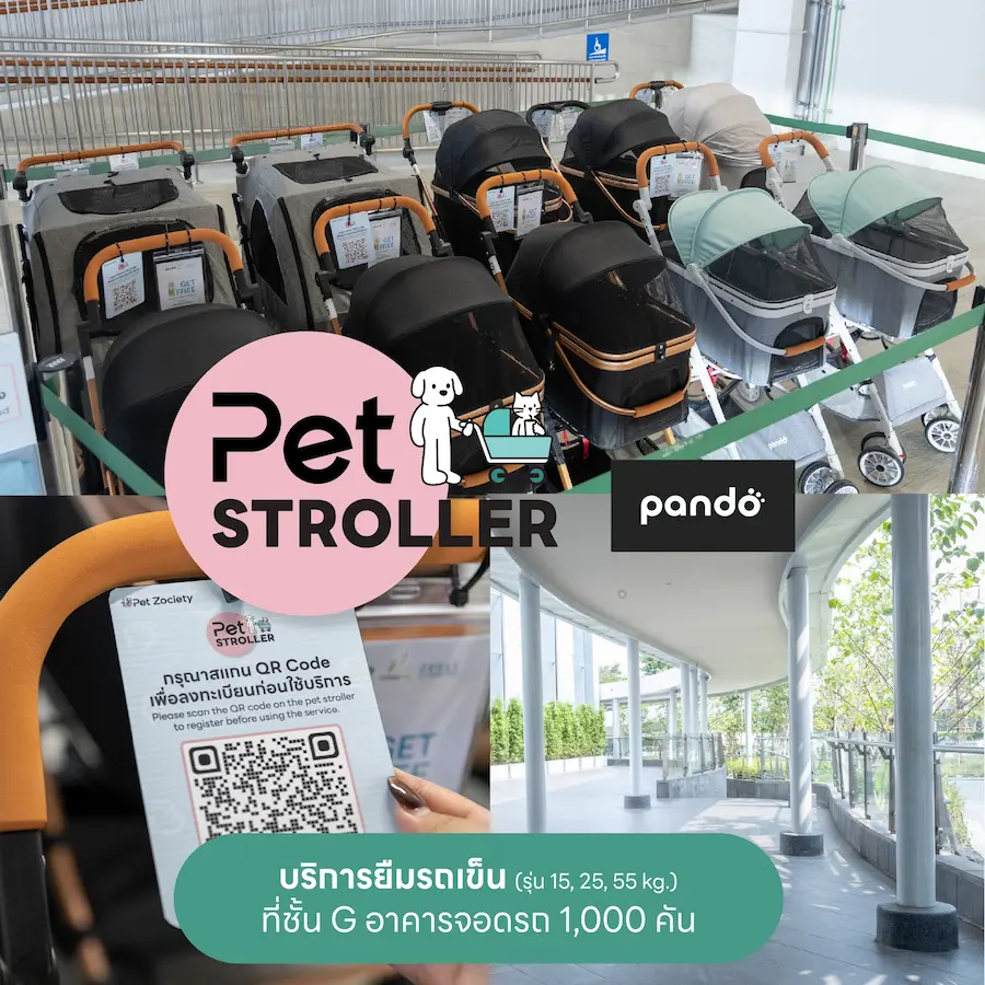 Future Park รังสิต หมาเข้าได้ไหม? เปิดโซน Pet Friendly และสนามวิ่งเล่นแล้ว