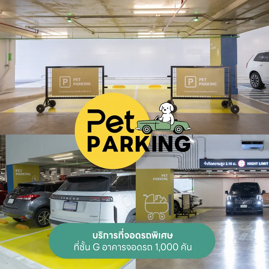 Future Park รังสิต หมาเข้าได้ไหม? เปิดโซน Pet Friendly และสนามวิ่งเล่นแล้ว