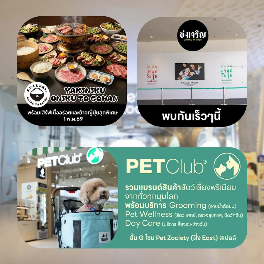 Future Park รังสิต หมาเข้าได้ไหม? เปิดโซน Pet Friendly และสนามวิ่งเล่นแล้ว