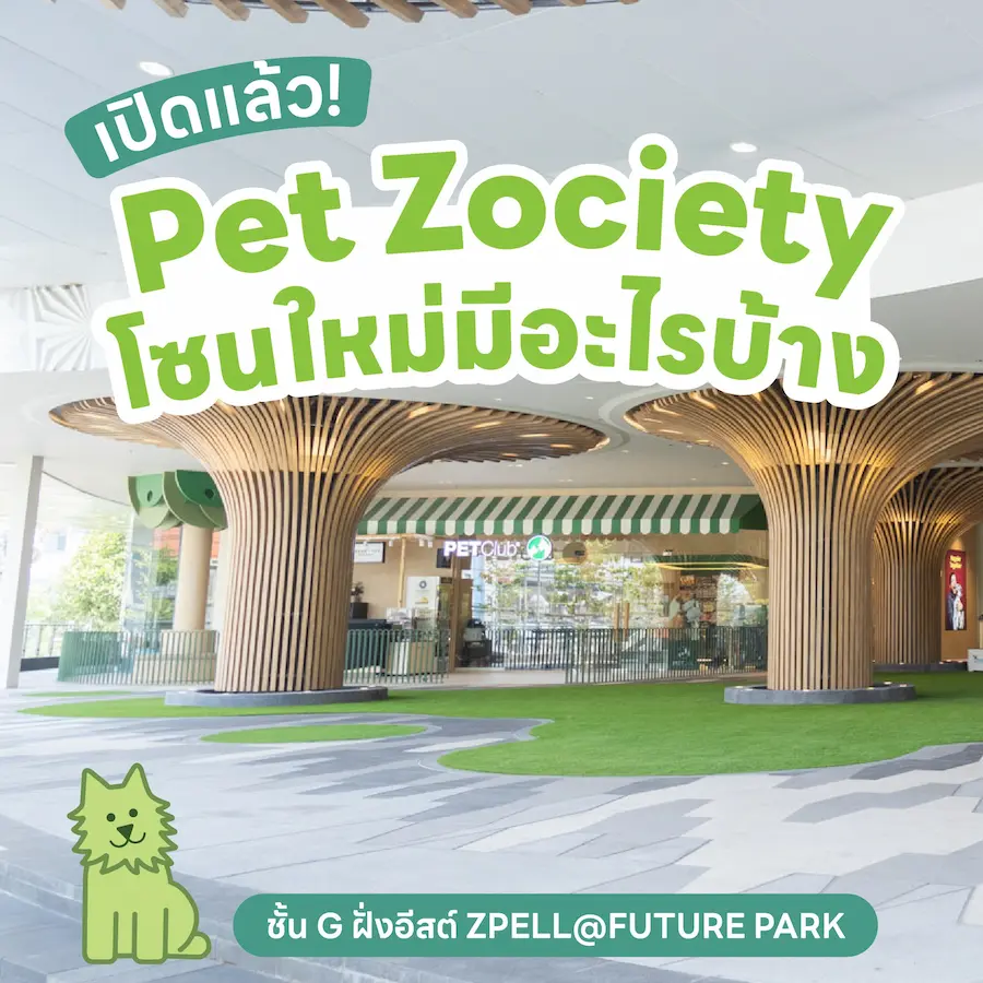 Future Park รังสิต หมาเข้าได้ไหม? เปิดโซน Pet Friendly และสนามวิ่งเล่นแล้ว
