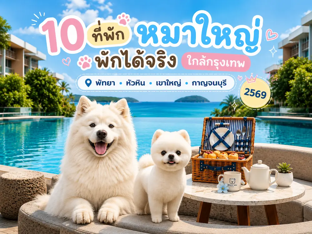 ภาพประกอบ:10 ที่พักหมาใหญ่พักได้จริง ใกล้กรุงเทพ พาหมาแมวเข้าพักได้ | พัทยา หัวหิน เขาใหญ่ กาญจนบุรี 2569