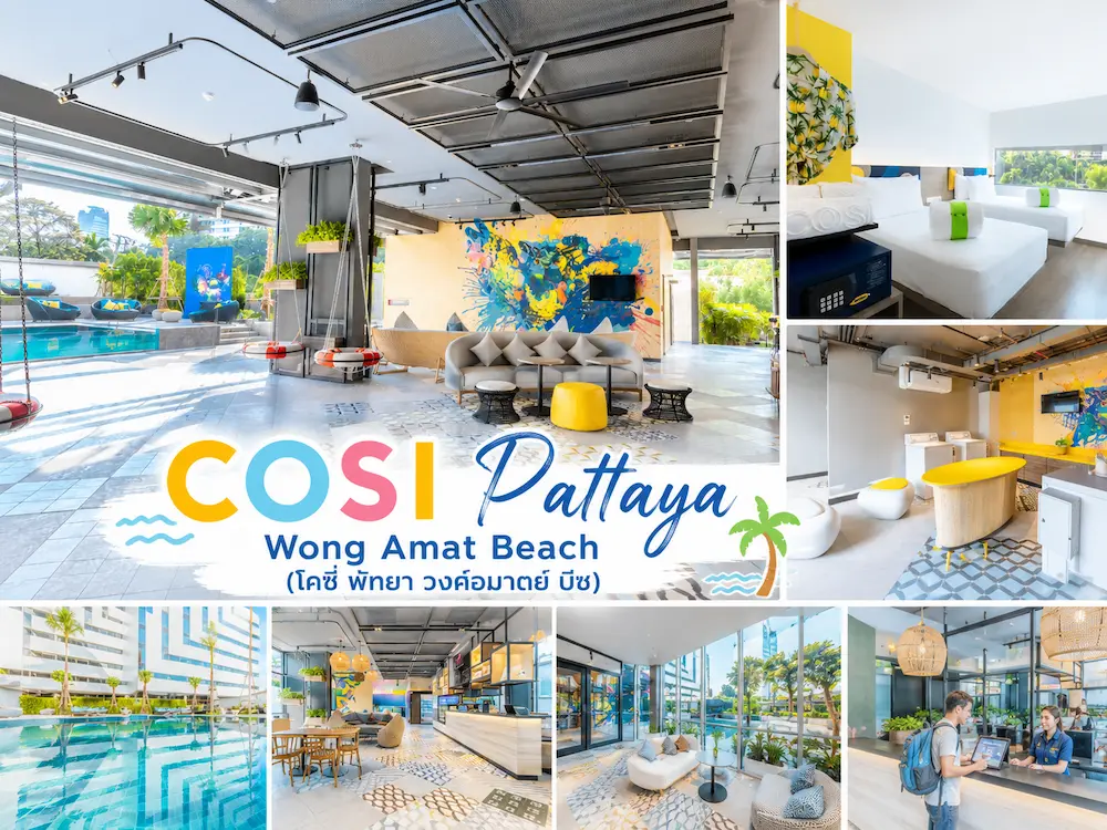 osi-pattaya-wongamat-beach-petfriendly-dogthailandosi-pattaya-wongamat-beach-pet.webp