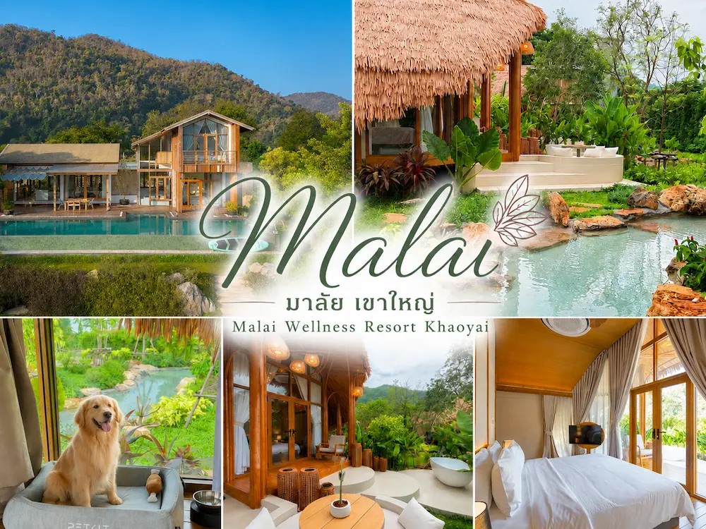 malai-wellness-resort-khaoyai-petfriendly.webp