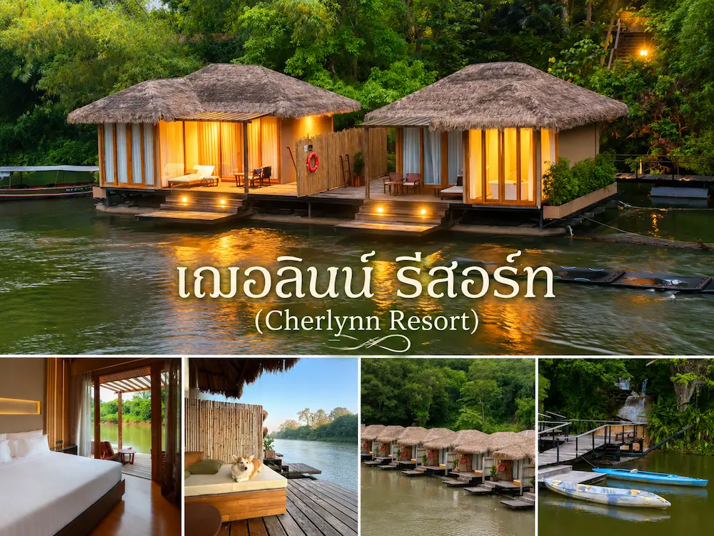 10 ที่พักหมาใหญ่พักได้ ใกล้กรุงเทพ พาหมาแมวเข้าพักได้ | พัทยา หัวหิน เขาใหญ่ กาญจนบุรี