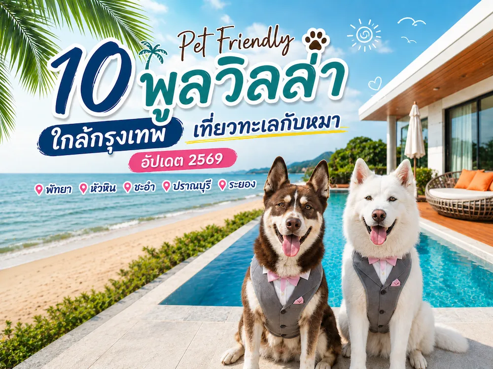 ภาพประกอบ:10 พูลวิลล่า Pet Friendly เที่ยวทะเล ใกล้กรุงเทพ หมาใหญ่พักได้ 2569