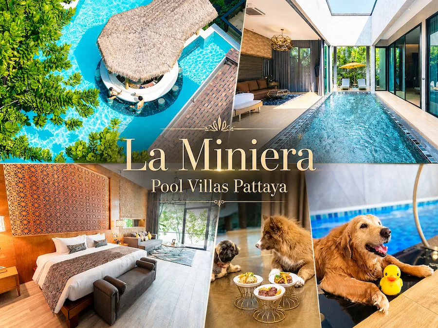 10 พูลวิลล่า Pet Friendly เที่ยวทะเล ใกล้กรุงเทพ หมาใหญ่พักได้