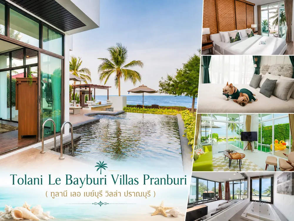 10 พูลวิลล่า Pet Friendly เที่ยวทะเล ใกล้กรุงเทพ หมาใหญ่พักได้