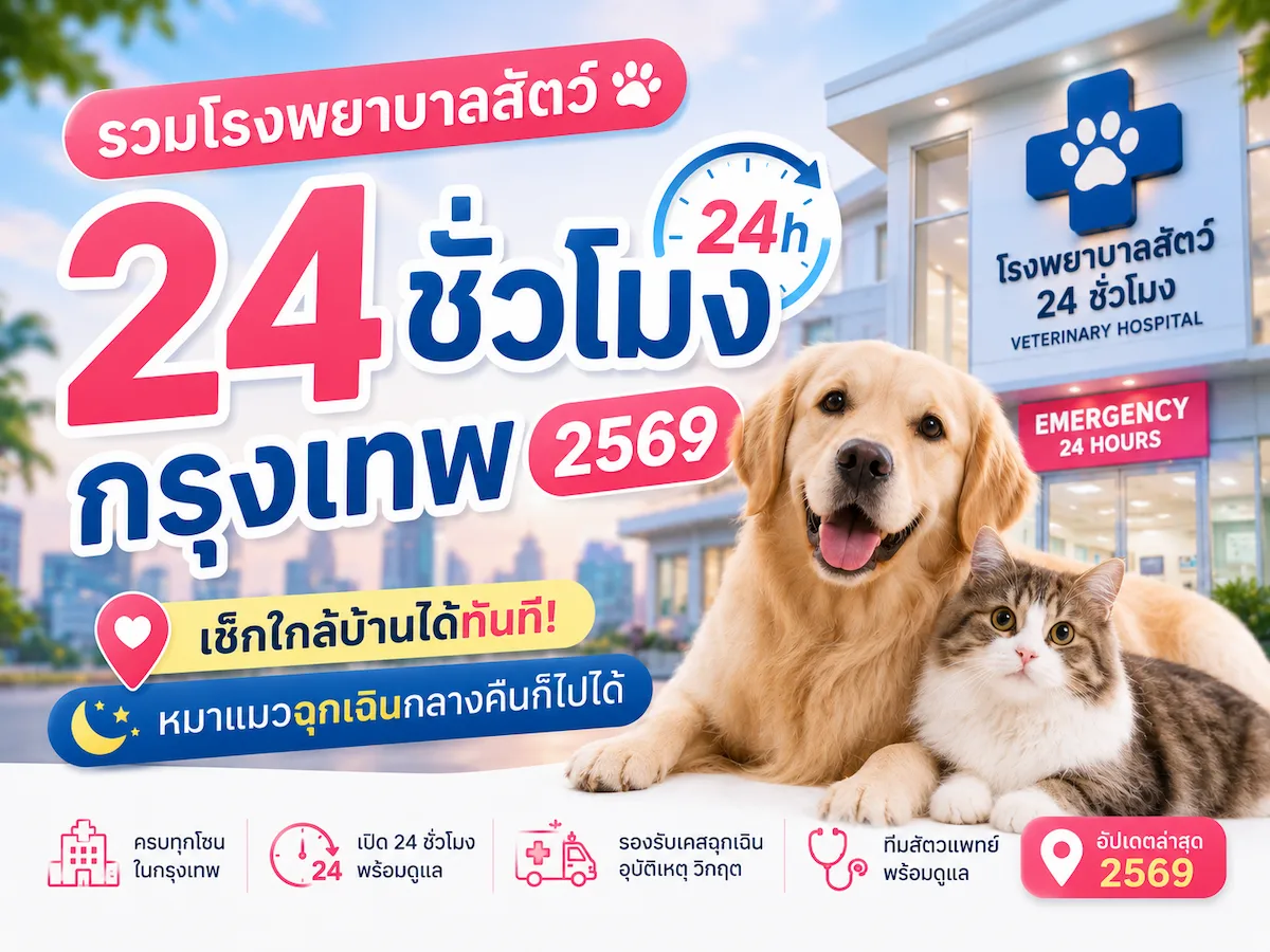 รวมโรงพยาบาลสัตว์ 24 ชั่วโมง กรุงเทพ 2569 เช็กใกล้บ้านได้ทันที | หมาแมวฉุกเฉินกลางคืนก็ไปได้