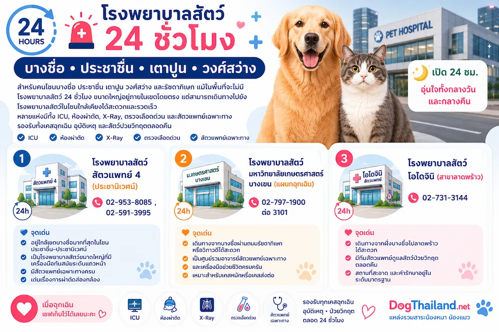 รวมโรงพยาบาลสัตว์ 24 ชั่วโมง กรุงเทพ 2569 เช็กใกล้บ้านได้ทันที | หมาแมวฉุกเฉินกลางคืนก็ไปได้