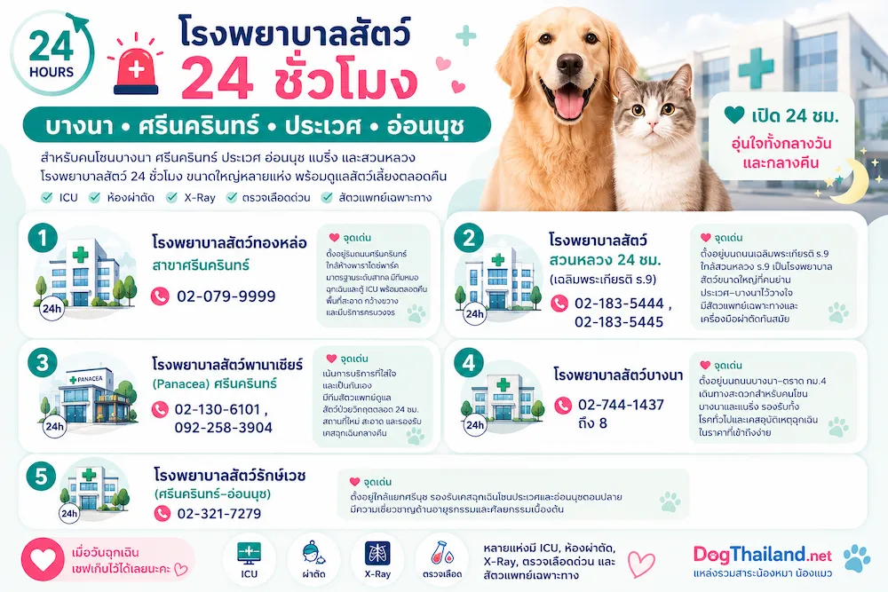 รวมโรงพยาบาลสัตว์ 24 ชั่วโมง กรุงเทพ 2569 เช็กใกล้บ้านได้ทันที | หมาแมวฉุกเฉินกลางคืนก็ไปได้