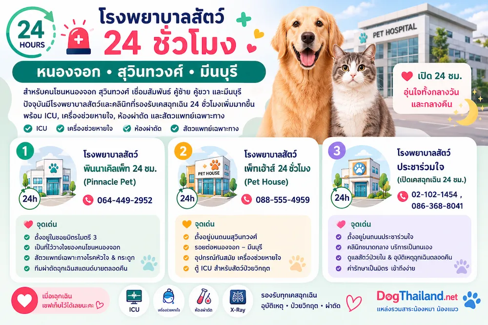 รวมโรงพยาบาลสัตว์ 24 ชั่วโมง กรุงเทพ 2569 เช็กใกล้บ้านได้ทันที | หมาแมวฉุกเฉินกลางคืนก็ไปได้