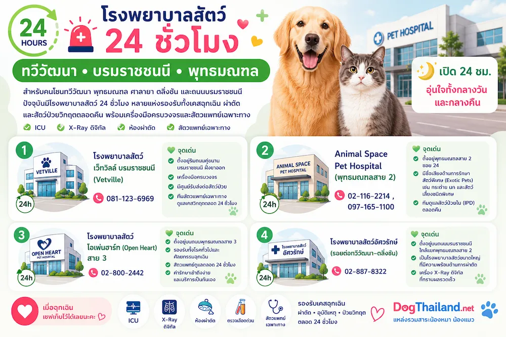 รวมโรงพยาบาลสัตว์ 24 ชั่วโมง กรุงเทพ 2569 เช็กใกล้บ้านได้ทันที | หมาแมวฉุกเฉินกลางคืนก็ไปได้
