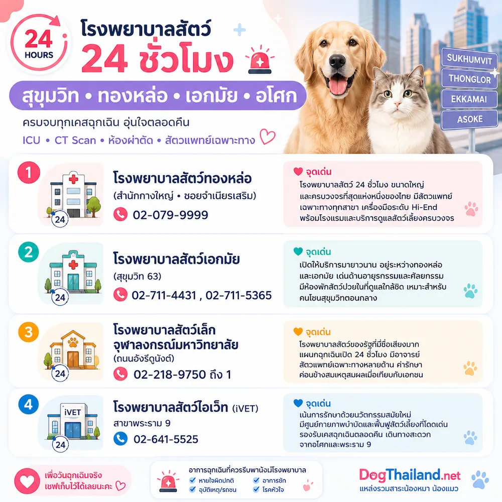 รวมโรงพยาบาลสัตว์ 24 ชั่วโมง กรุงเทพ 2569 เช็กใกล้บ้านได้ทันที | หมาแมวฉุกเฉินกลางคืนก็ไปได้