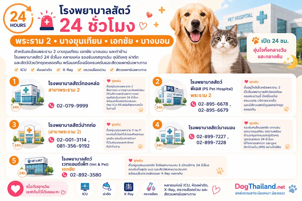 รวมโรงพยาบาลสัตว์ 24 ชั่วโมง กรุงเทพ 2569 เช็กใกล้บ้านได้ทันที | หมาแมวฉุกเฉินกลางคืนก็ไปได้