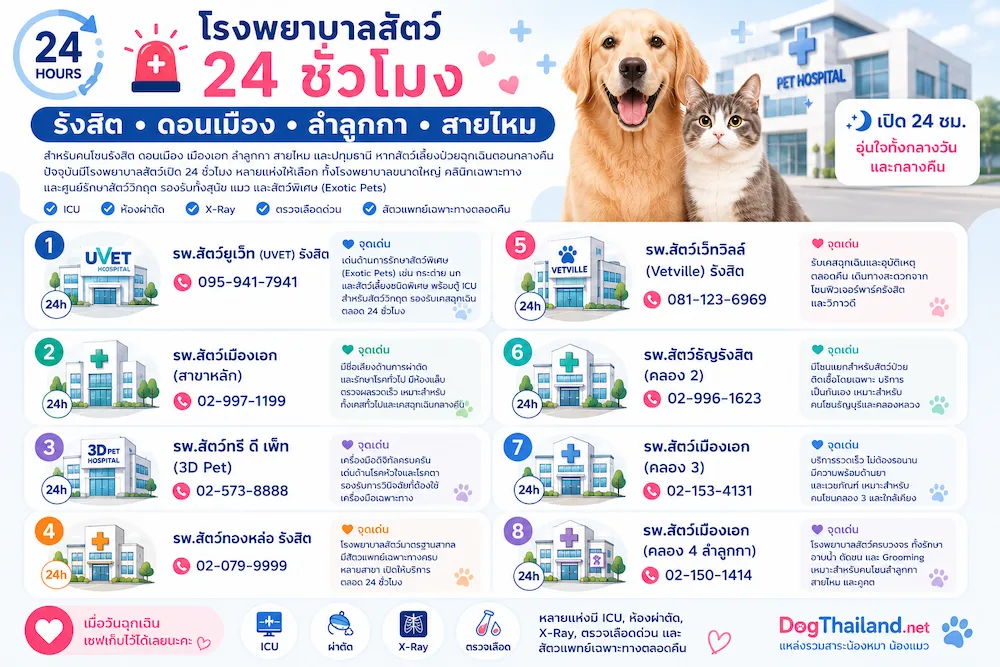 รวมโรงพยาบาลสัตว์ 24 ชั่วโมง กรุงเทพ 2569 เช็กใกล้บ้านได้ทันที | หมาแมวฉุกเฉินกลางคืนก็ไปได้