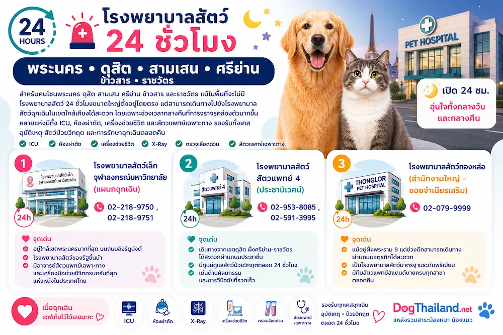 รวมโรงพยาบาลสัตว์ 24 ชั่วโมง กรุงเทพ 2569 เช็กใกล้บ้านได้ทันที | หมาแมวฉุกเฉินกลางคืนก็ไปได้