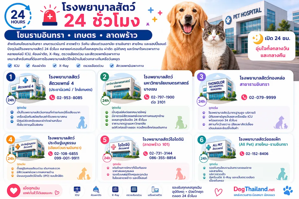 ramintra-kaset-ladprao-pet-hospital-24hr-guide-2569.webp