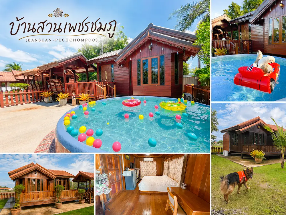พาน้องหมาเที่ยวทะเลระยอง อัพเดทใหม่ รวมที่พัก Pet Friendly แยกโซนชายหาดฮิต ชัดเจน (หมาใหญ่พักได้)