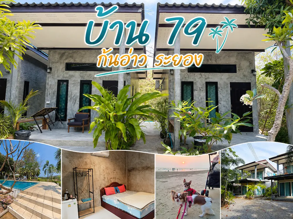 พาน้องหมาเที่ยวทะเลระยอง อัพเดทใหม่ รวมที่พัก Pet Friendly แยกโซนชายหาดฮิต ชัดเจน (หมาใหญ่พักได้)
