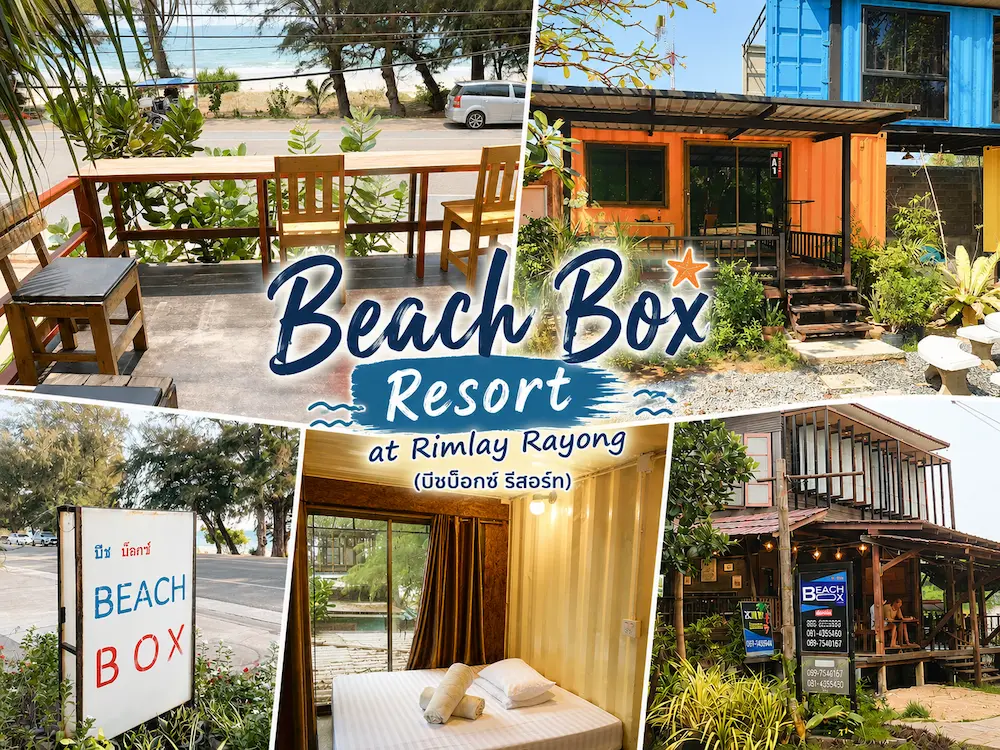 พาน้องหมาเที่ยวทะเลระยอง อัพเดทใหม่ รวมที่พัก Pet Friendly แยกโซนชายหาดฮิต ชัดเจน (หมาใหญ่พักได้)