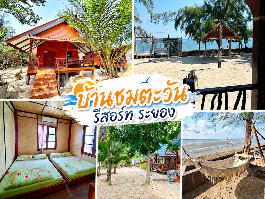 พาน้องหมาเที่ยวทะเลระยอง อัพเดทใหม่ รวมที่พัก Pet Friendly แยกโซนชายหาดฮิต ชัดเจน (หมาใหญ่พักได้)
