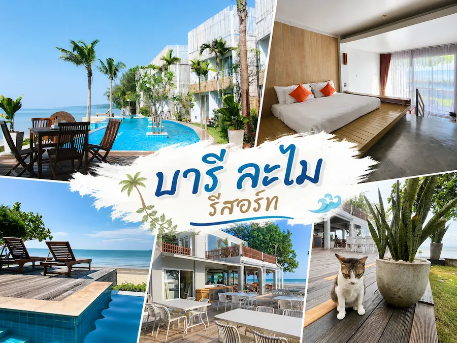 พาน้องหมาเที่ยวทะเลระยอง อัพเดทใหม่ รวมที่พัก Pet Friendly แยกโซนชายหาดฮิต ชัดเจน (หมาใหญ่พักได้)
