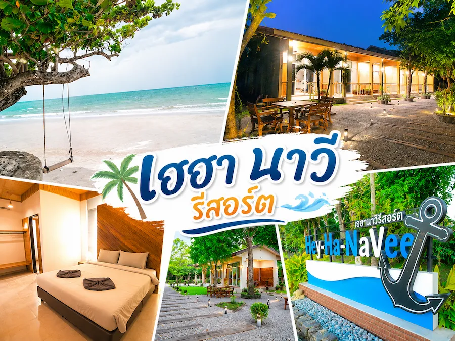 พาน้องหมาเที่ยวทะเลระยอง อัพเดทใหม่ รวมที่พัก Pet Friendly แยกโซนชายหาดฮิต ชัดเจน (หมาใหญ่พักได้)