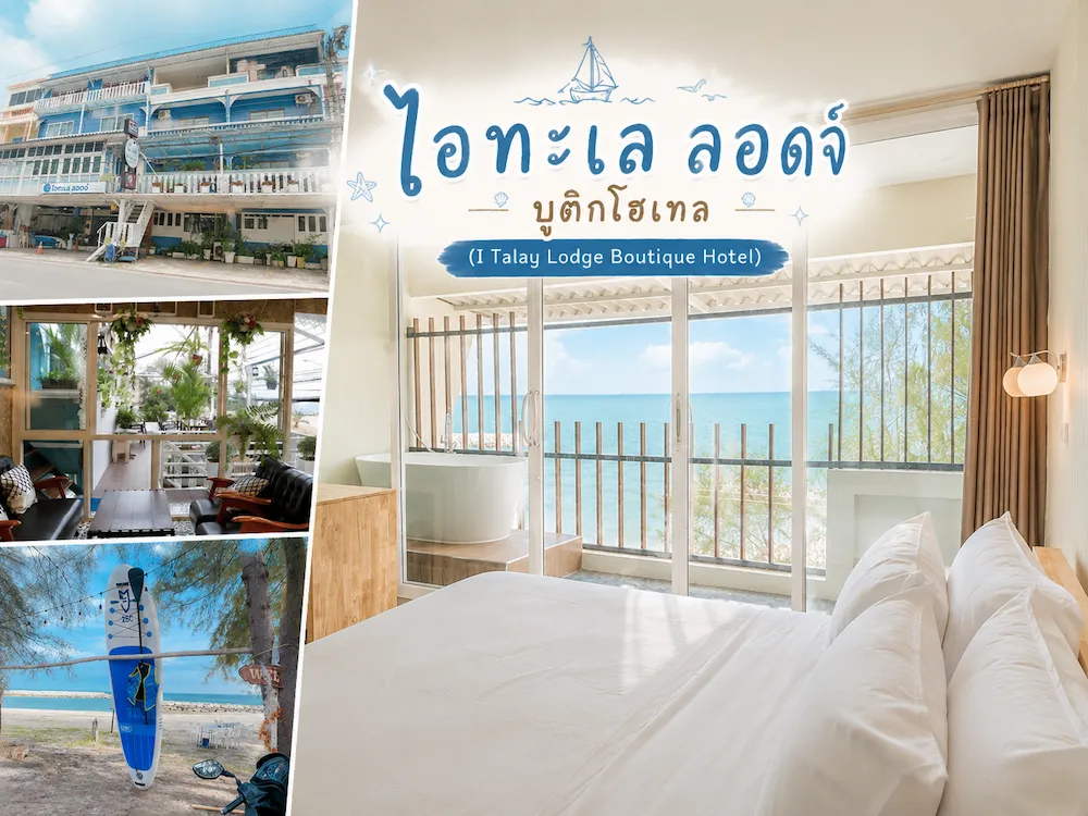 พาน้องหมาเที่ยวทะเลระยอง อัพเดทใหม่ รวมที่พัก Pet Friendly แยกโซนชายหาดฮิต ชัดเจน (หมาใหญ่พักได้)