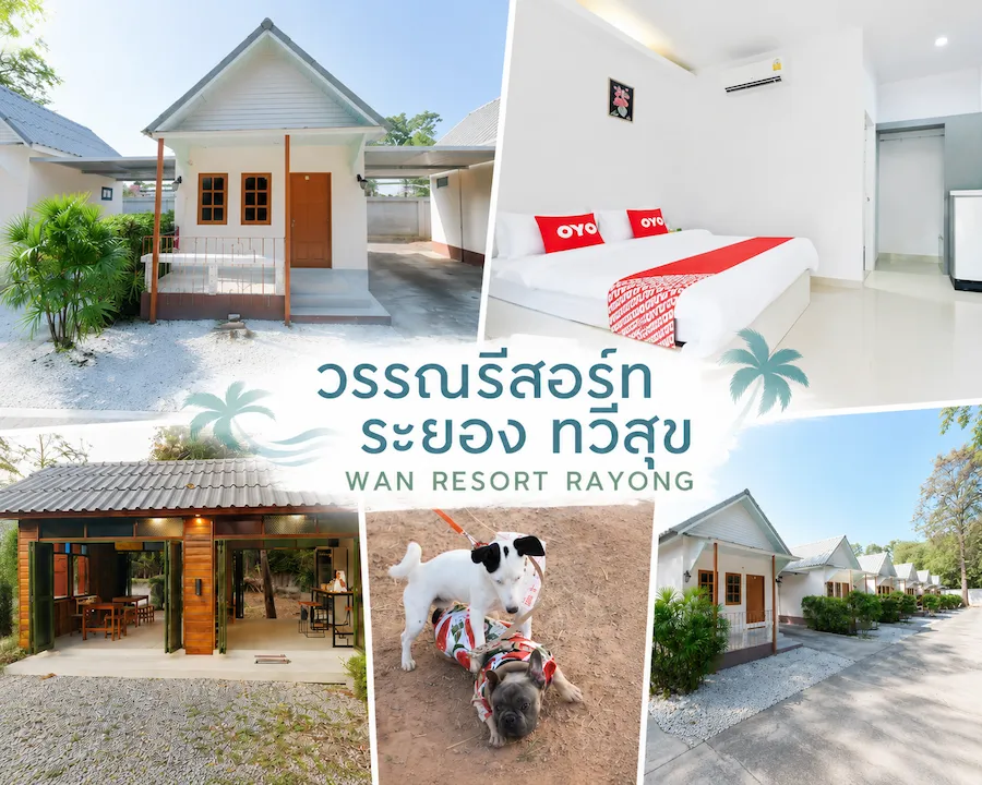 พาน้องหมาเที่ยวทะเลระยอง อัพเดทใหม่ รวมที่พัก Pet Friendly แยกโซนชายหาดฮิต ชัดเจน (หมาใหญ่พักได้)