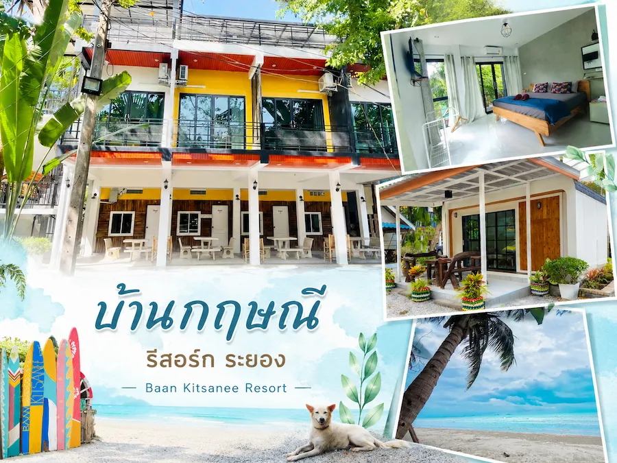 พาน้องหมาเที่ยวทะเลระยอง อัพเดทใหม่ รวมที่พัก Pet Friendly แยกโซนชายหาดฮิต ชัดเจน (หมาใหญ่พักได้)
