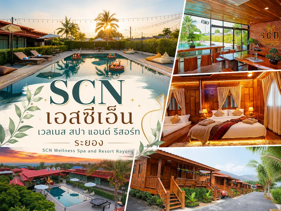 พาน้องหมาเที่ยวทะเลระยอง อัพเดทใหม่ รวมที่พัก Pet Friendly แยกโซนชายหาดฮิต ชัดเจน (หมาใหญ่พักได้)