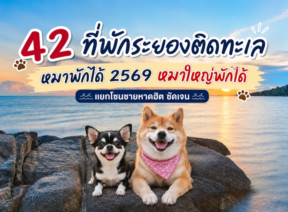 42 ที่พักระยองติดทะเล หมาพักได้ 2569 หมาใหญ่พักได้ แยกโซนชายหาดฮิต ชัดเจน