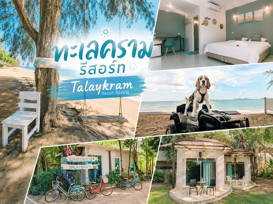 พาน้องหมาเที่ยวทะเลระยอง อัพเดทใหม่ รวมที่พัก Pet Friendly แยกโซนชายหาดฮิต ชัดเจน (หมาใหญ่พักได้)