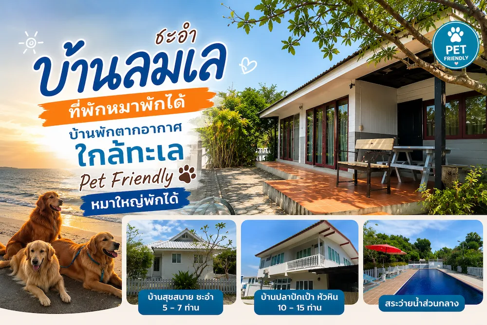 บ้านลมเล ชะอำ ที่พักหมาพักได้ ใกล้ทะเล Pet Friendly อัปเดตล่าสุด