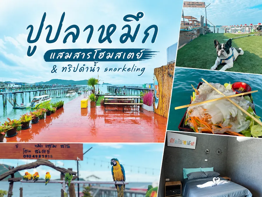 23 ที่พักสัตหีบ หมาพักได้ ติดทะเล Pet Friendly หมาใหญ่พักได้ อัปเดต