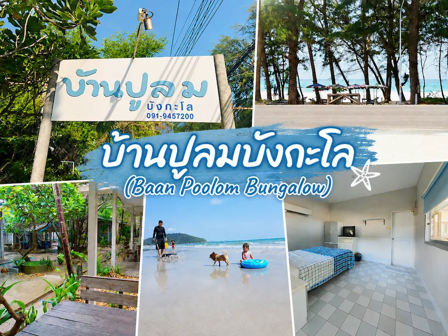พาน้องหมาเที่ยวทะเลระยอง อัพเดทใหม่ รวมที่พัก Pet Friendly แยกโซนชายหาดฮิต ชัดเจน (หมาใหญ่พักได้)