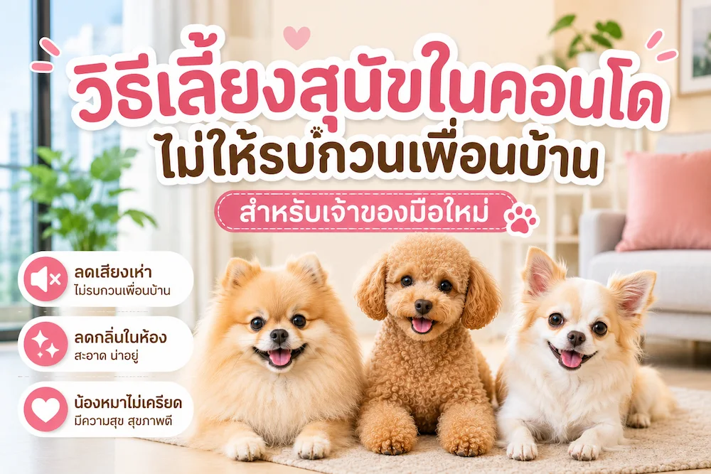 วิธีเลี้ยงสุนัขในคอนโด ไม่ให้รบกวนเพื่อนบ้าน สำหรับเจ้าของมือใหม่