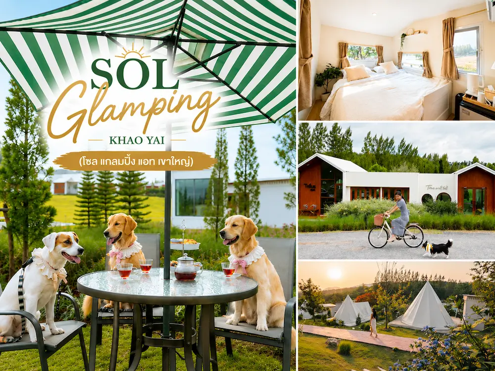 SOL-Glamping-Khao-Yai-โซล-แกลมปิ้ง-เขาใหญ่-หมาพักได้.webp
