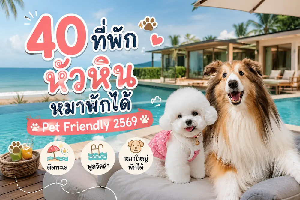 40 ที่พักหัวหินหมาพักได้ ติดทะเล พูลวิลล่า หมาใหญ่พักได้ | Pet Friendly Hua Hin อัพเดตล่าสุด