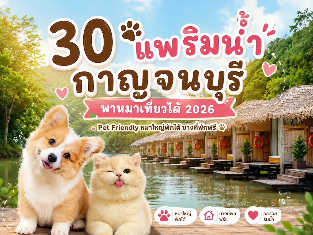 30-แพริมน้ำกาญจนบุรี-pet-friendly-หมาพักได้.webp