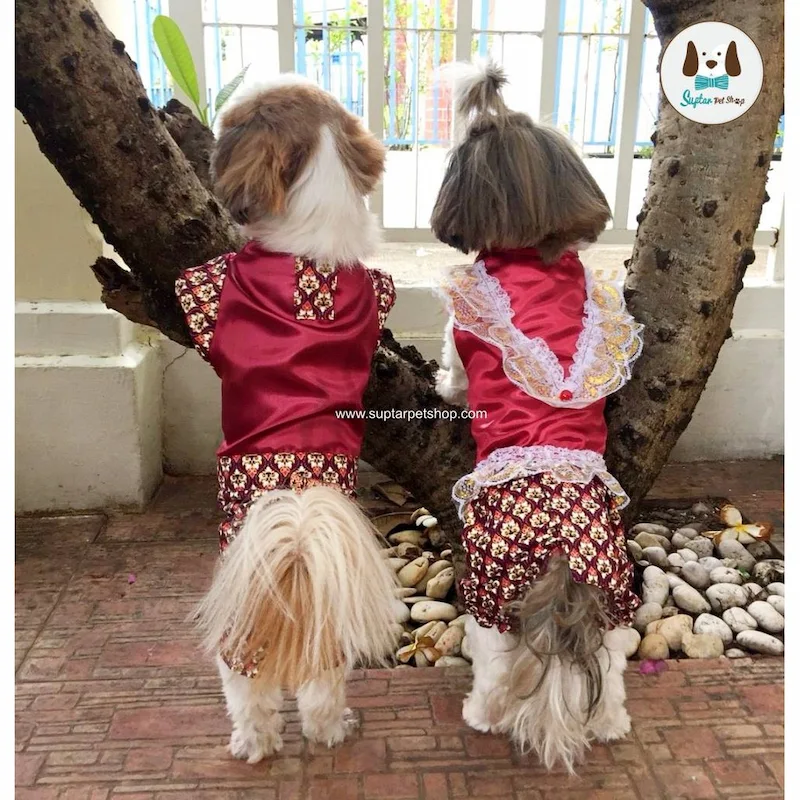 ชุดไทยหมาแมว 2569 รุ่นขายดี พร้อมส่ง ใส่ได้ทั้งหมาเล็ก หมาใหญ่ งานแต่ง สงกรานต์ ลอยกระทง