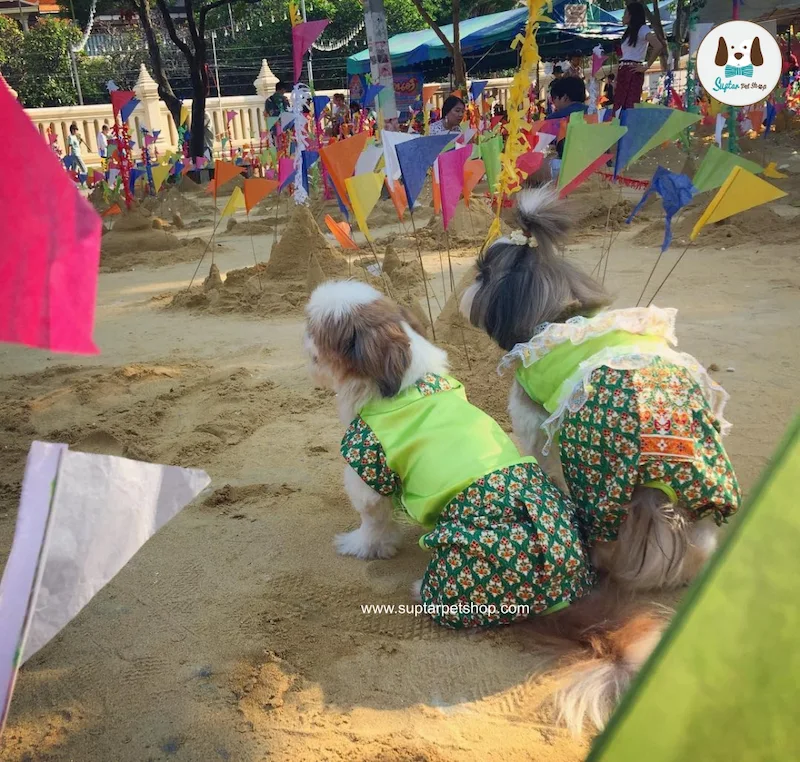 ชุดไทยหมาแมว 2569 รุ่นขายดี พร้อมส่ง ใส่ได้ทั้งหมาเล็ก หมาใหญ่ งานแต่ง สงกรานต์ ลอยกระทง