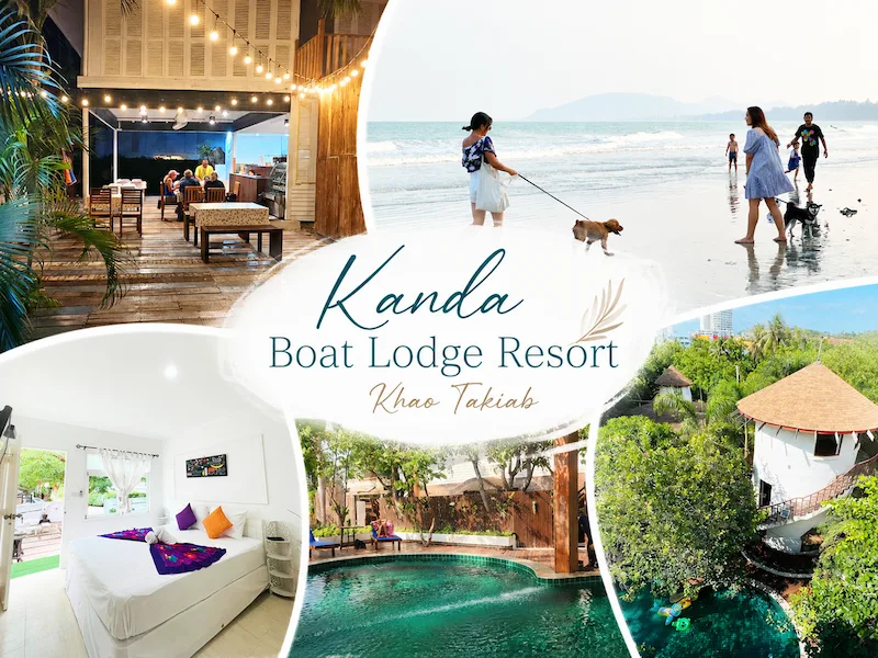 40 ที่พักหัวหินหมาพักได้ ติดทะเล พูลวิลล่า หมาใหญ่พักได้ | Pet Friendly Hua Hin อัพเดตล่าสุด